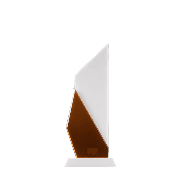 Recognition Award